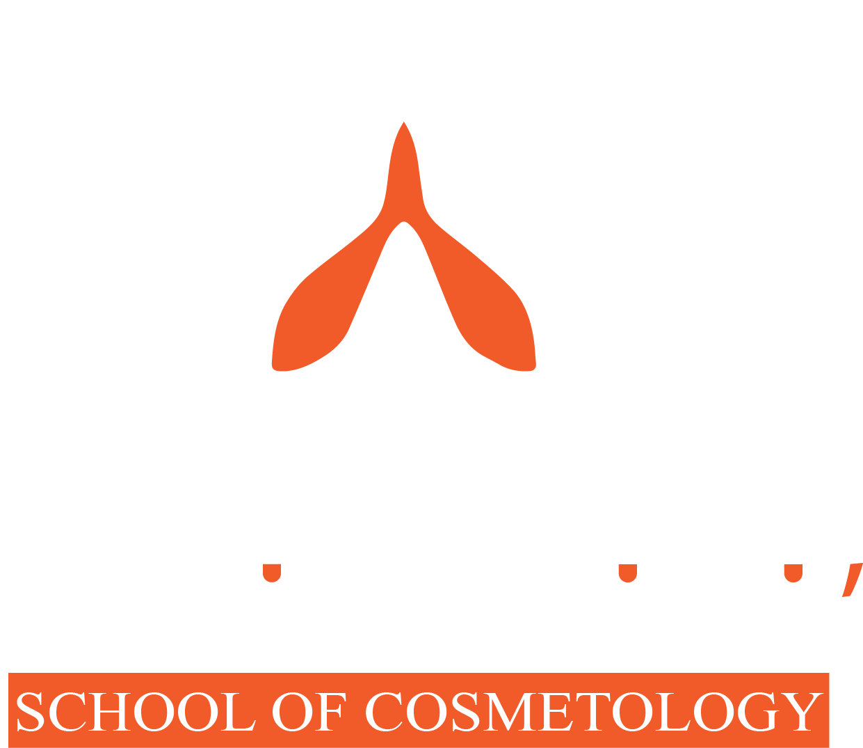 Beauty Guru